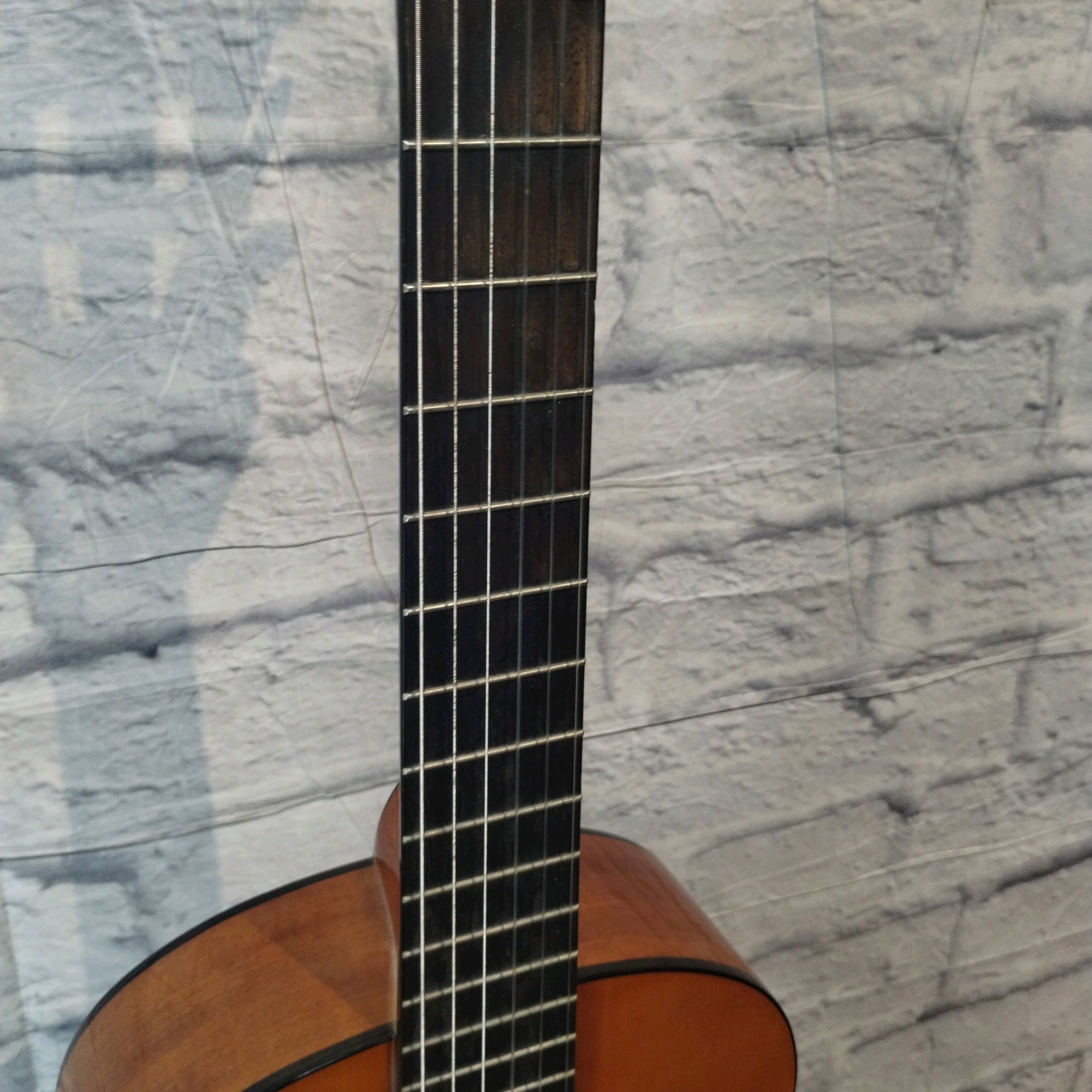 Cordoba Protege C1 Classical Guitar