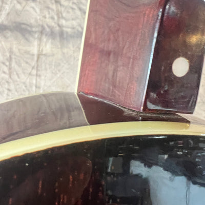 Rogue Banjolin Banjo - Mandolin Hybrid