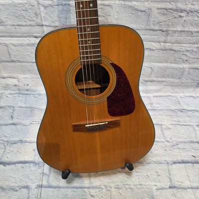 Fender Dreadnaught DG20s Nat Acoustic Guitar