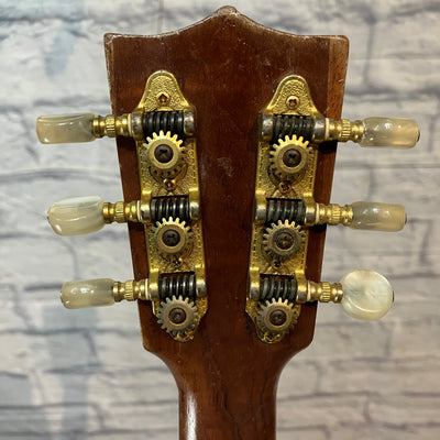 Mele 6 String Tenor Ukulele Double Sound Hole w/ Pickup w/ case