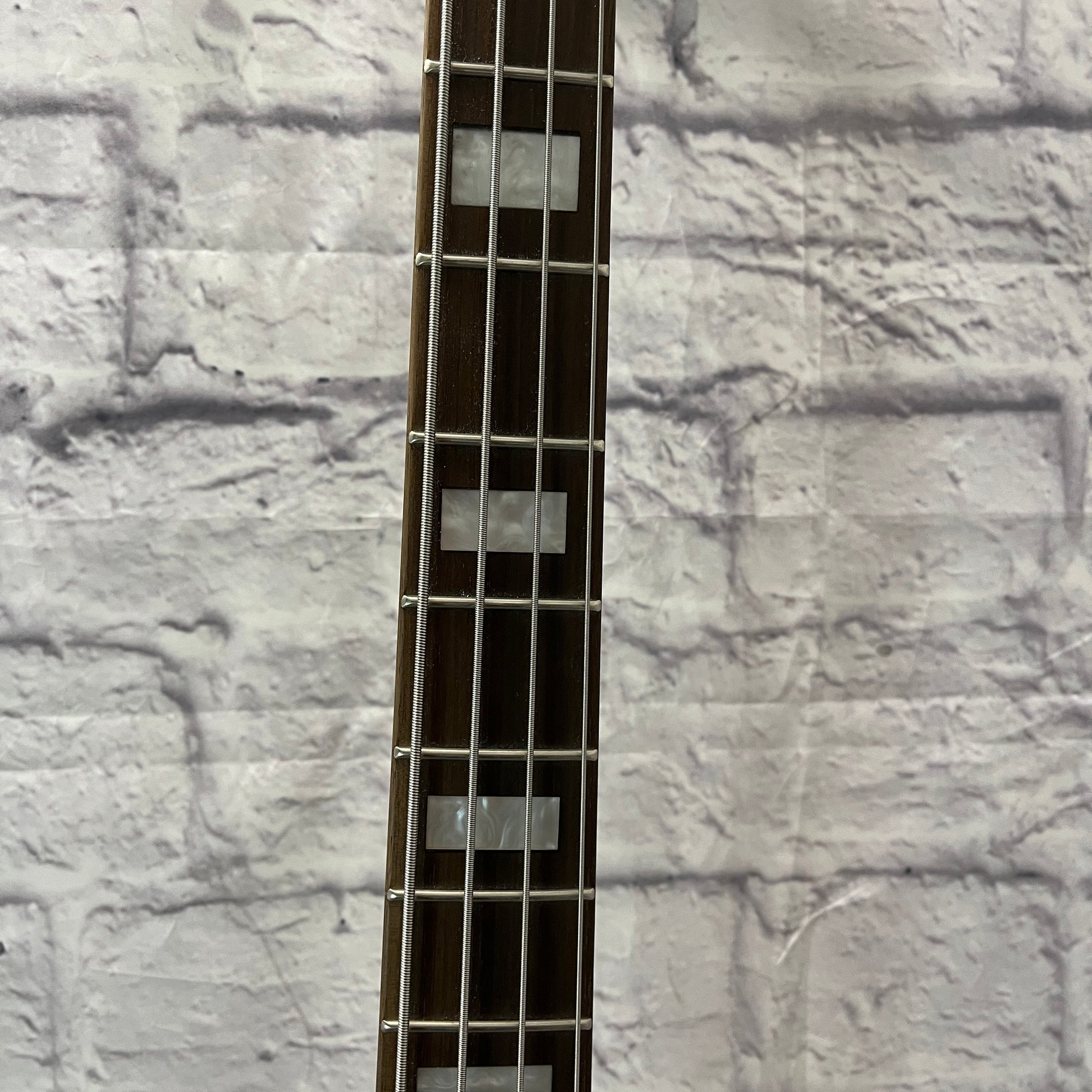 Sawtooth Mod24 Bass Guitar w/ Fishman Pickups