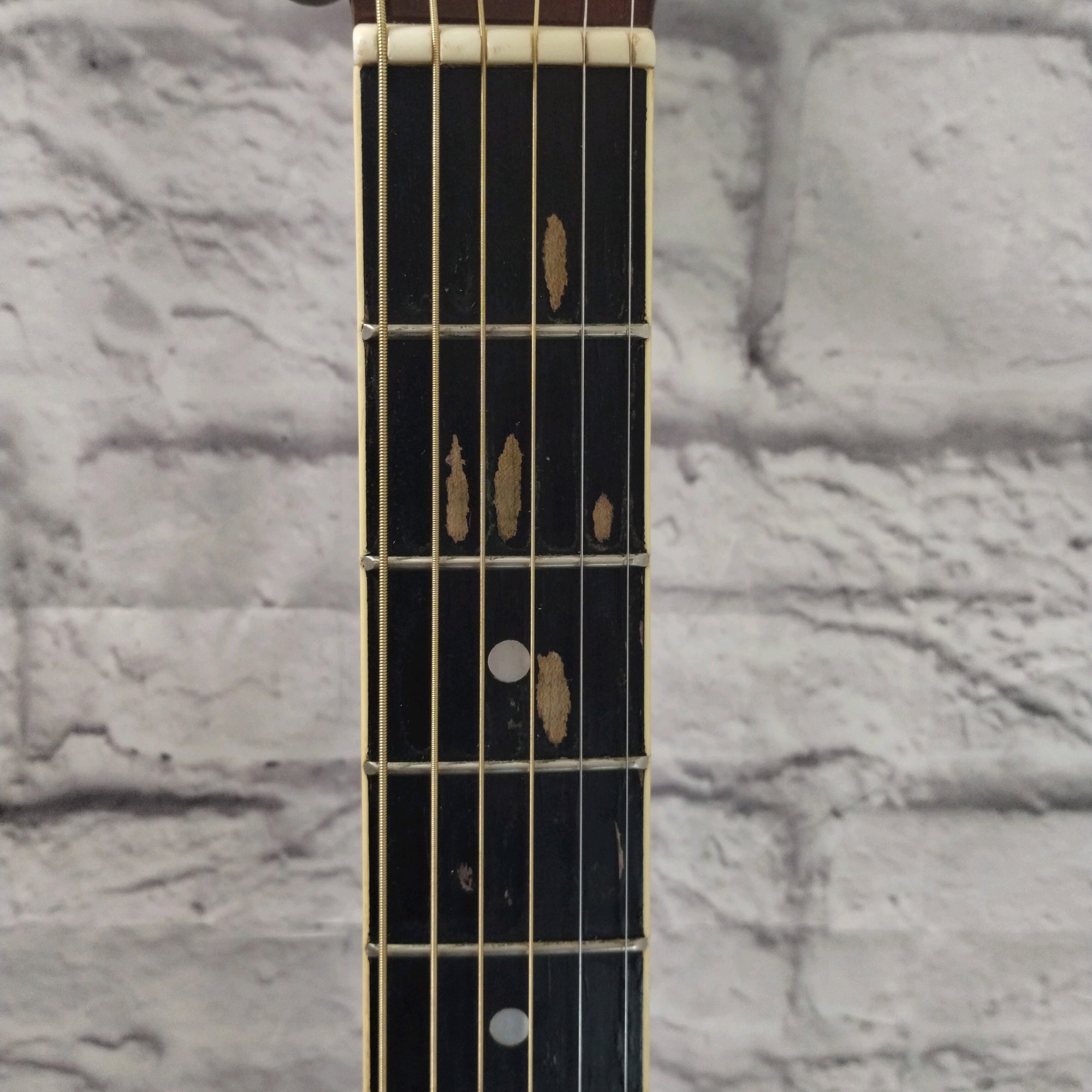 Montana MT-105 CB Acoustic Guitar