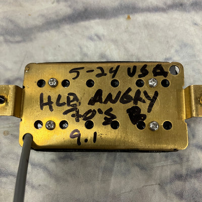 Unknown Humbucker Pickups