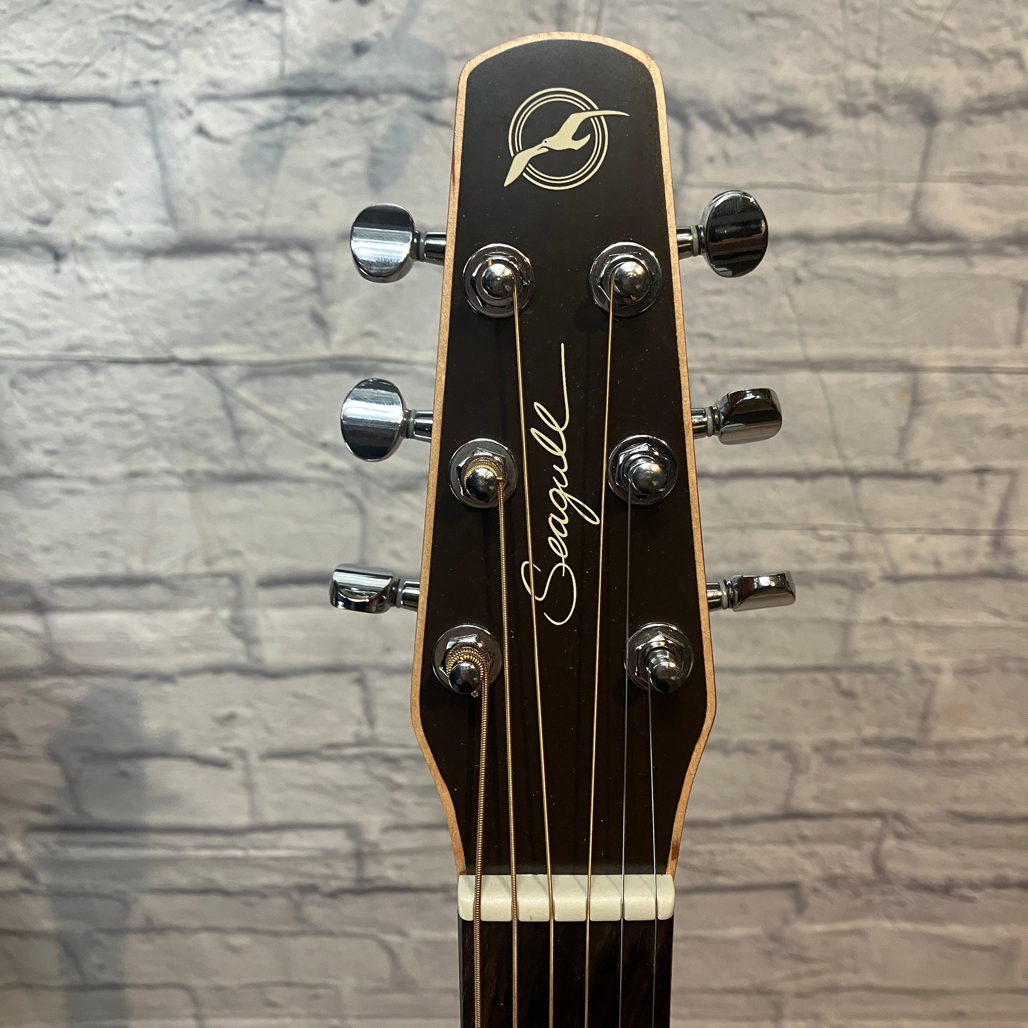 Seagull Coastline C6 Slim CW Spruce QI Acoustic Guitar w/ case