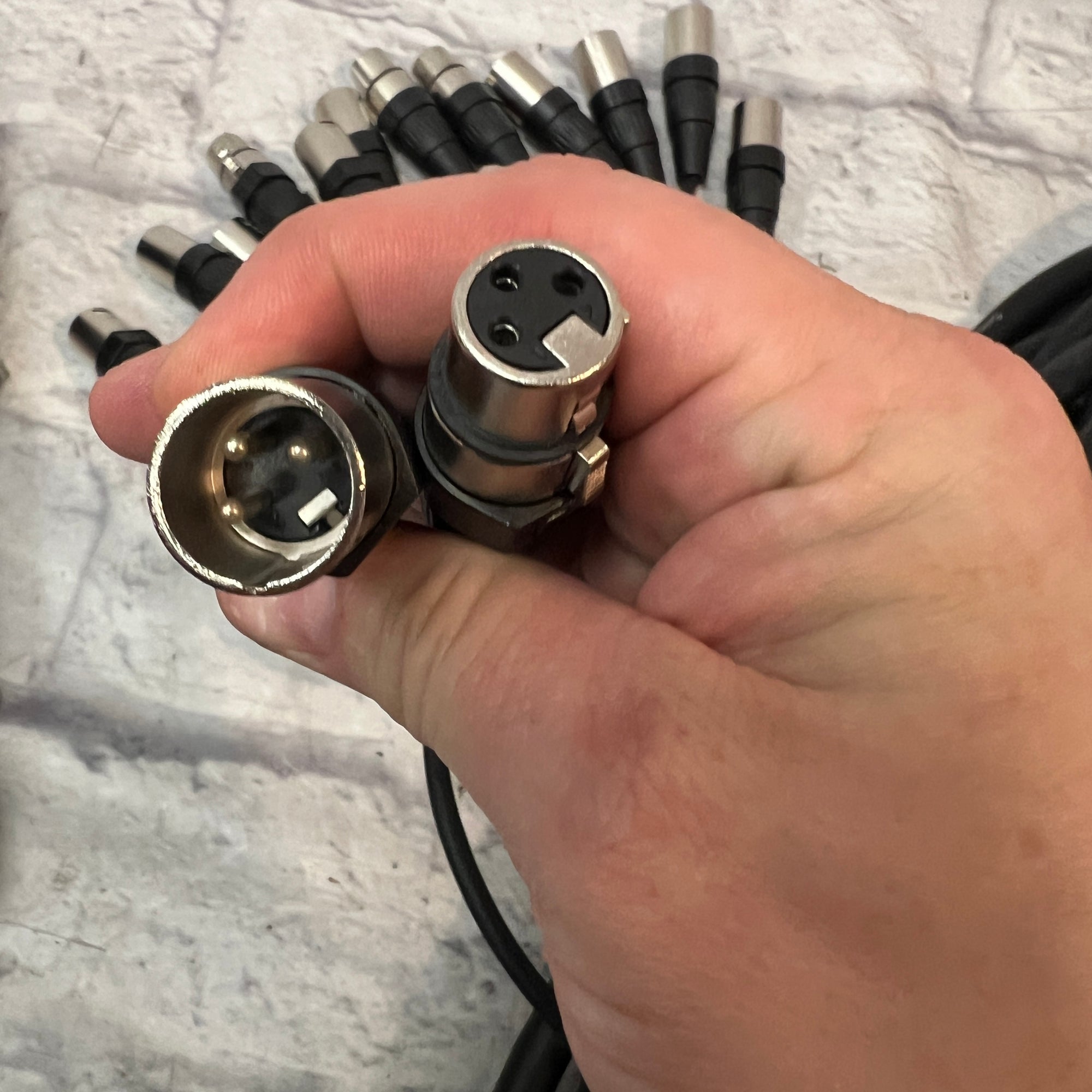 Seismic Audio SACB-16x8x100 Snake