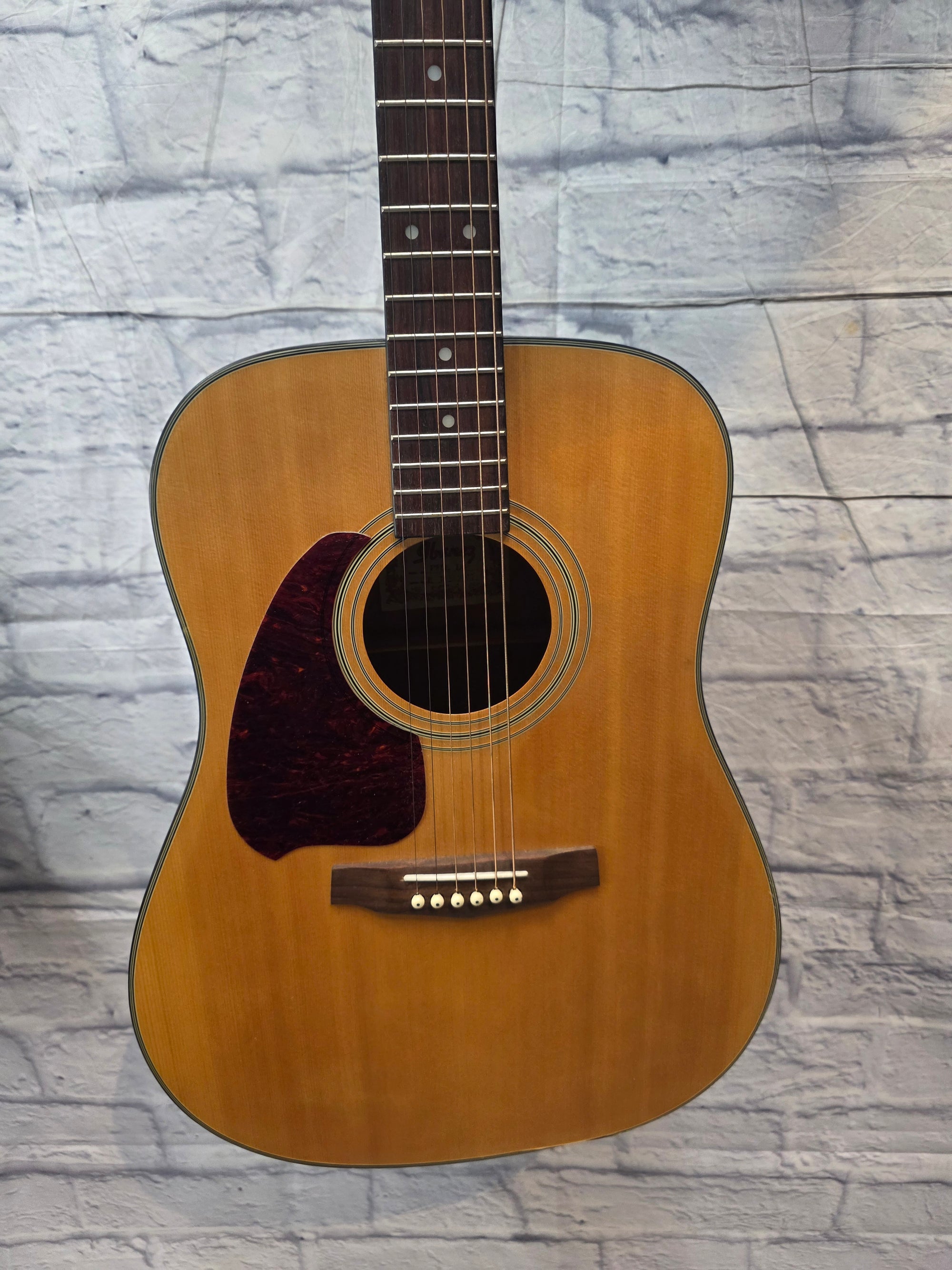 Ibanez Lefty PF5LG 2010's - Natural - Dreadnought Acoustic Guitar