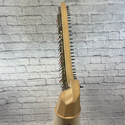 Salvi Titan Harp with Cover