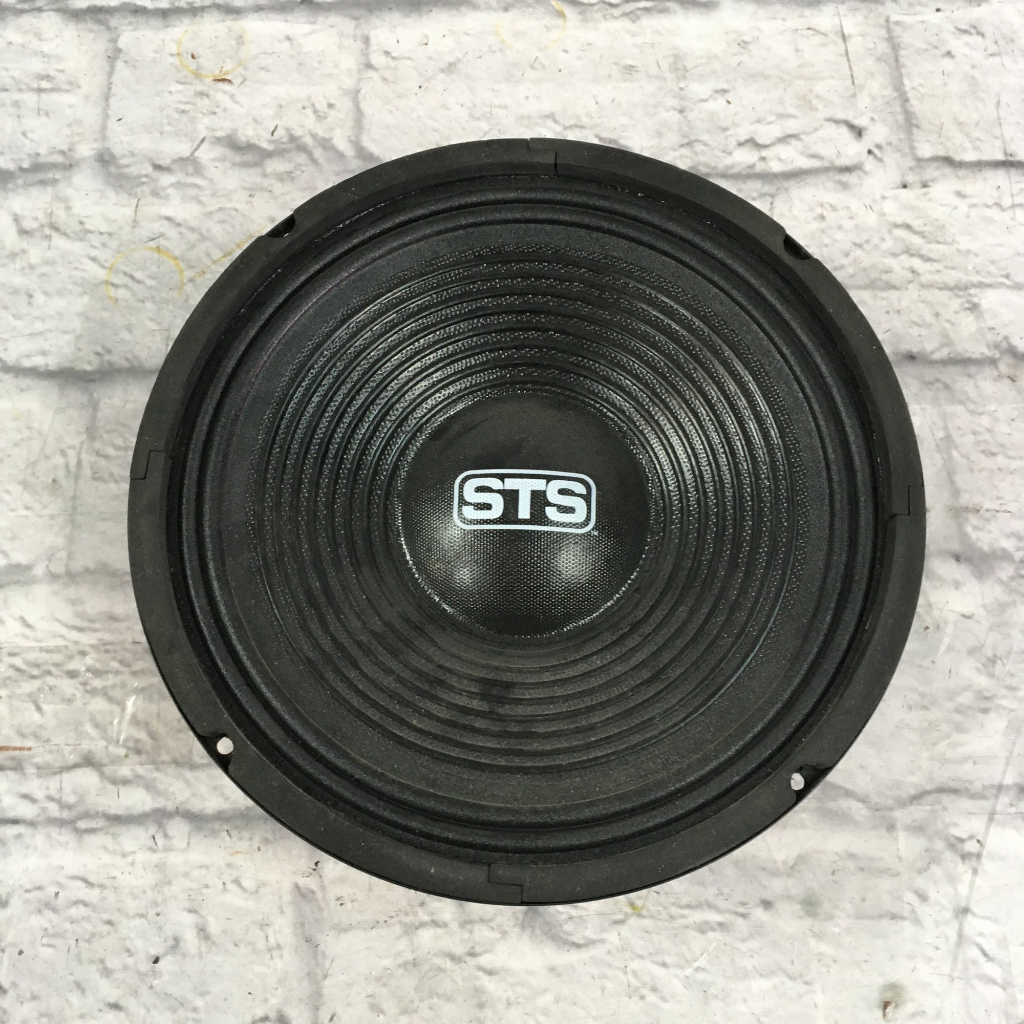 STS 10 Live Sound Speaker