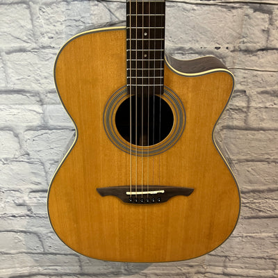 Wechter GA8221C Acoustic Guitar w/ Case