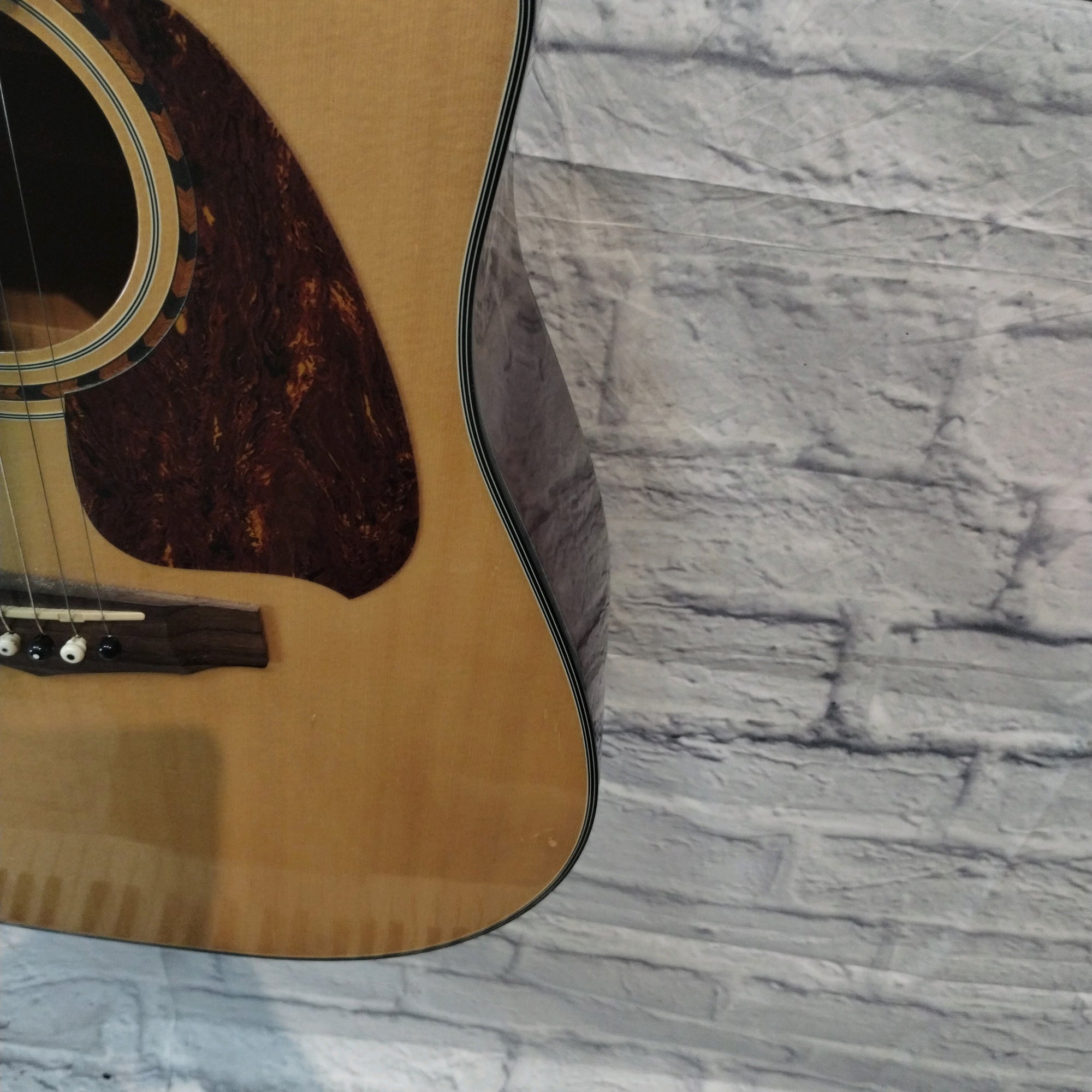 Ibanez PF5ece Acoustic Electric Guitar