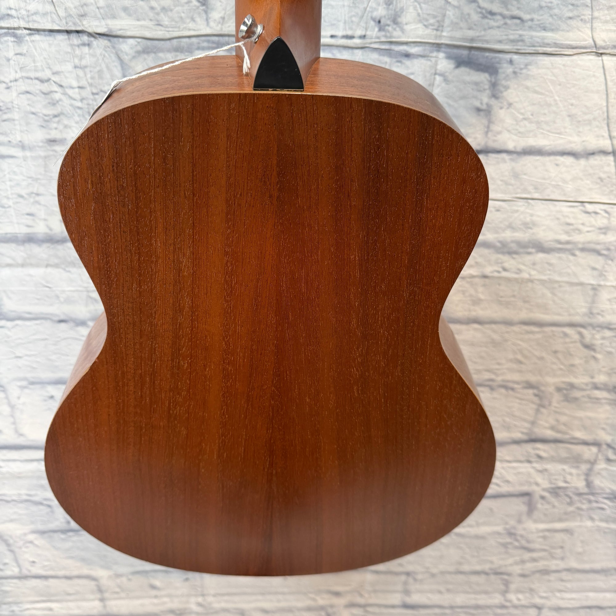 Taylor Taylor GS Mini Mahogany With Case