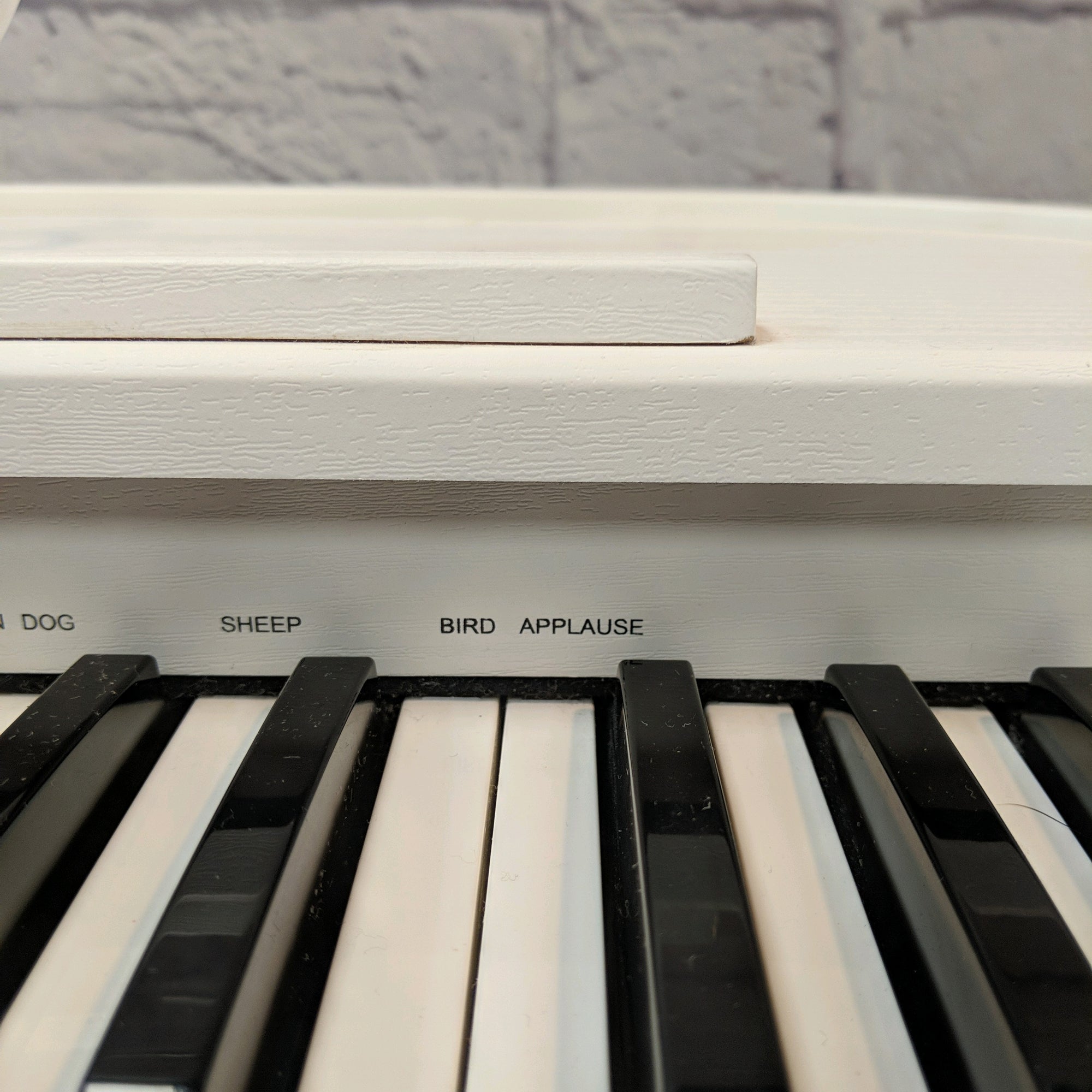 Artesia AC-49 Children's Piano With Bench Electric Piano