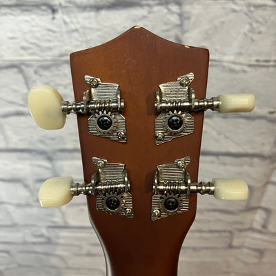 Firebrand Ukulele w/ bag