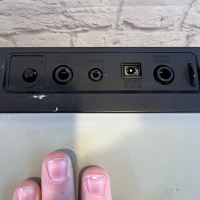 Casio WK-220 61-Key Electronic Keyboard / Organ