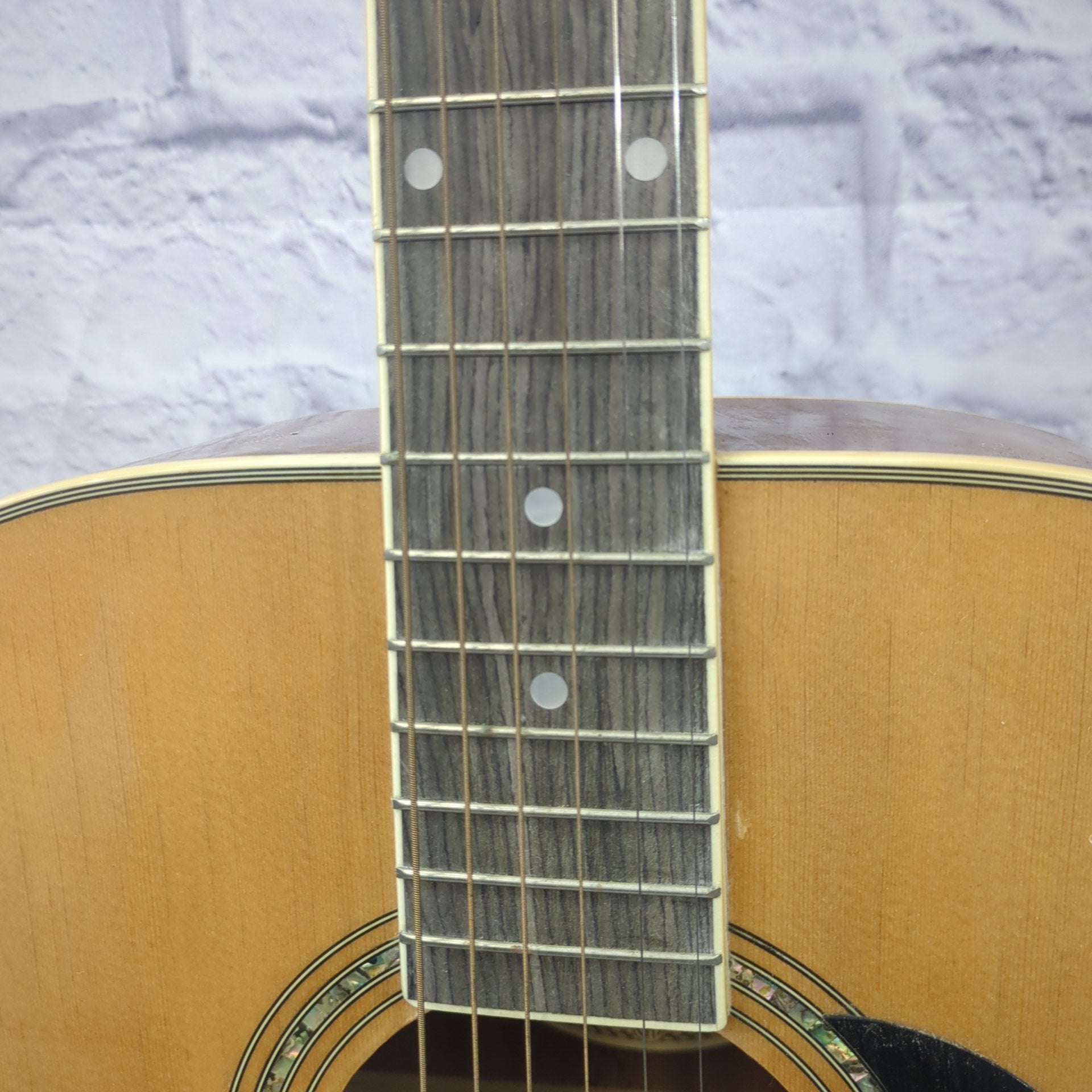 Mitchell MD100 Acoustic Guitar