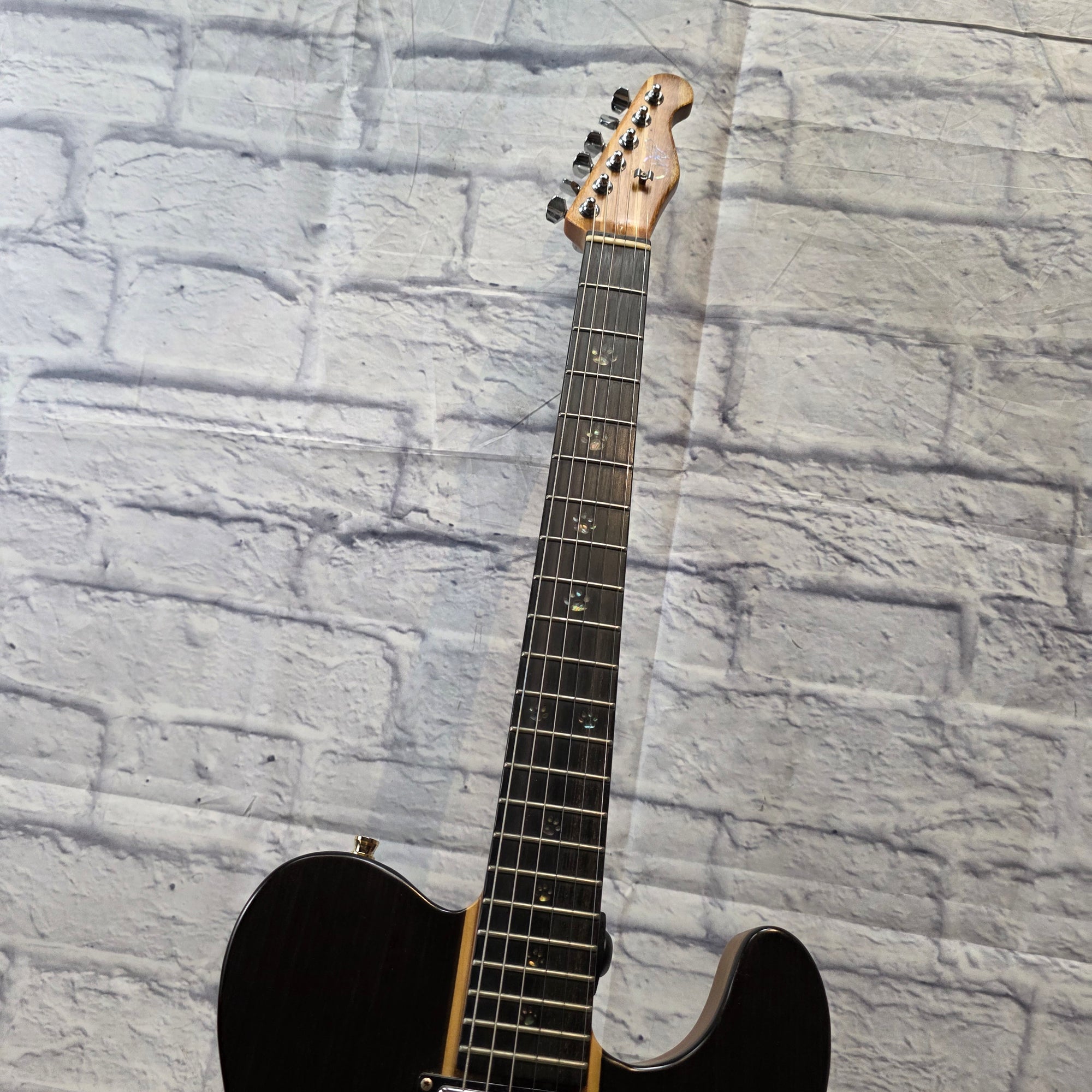 Aio (All In One) AIO TC1-HH  Dark Walnut Electric Guitar
