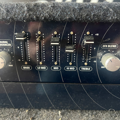 SWR 2x10C Bass Combo Amp