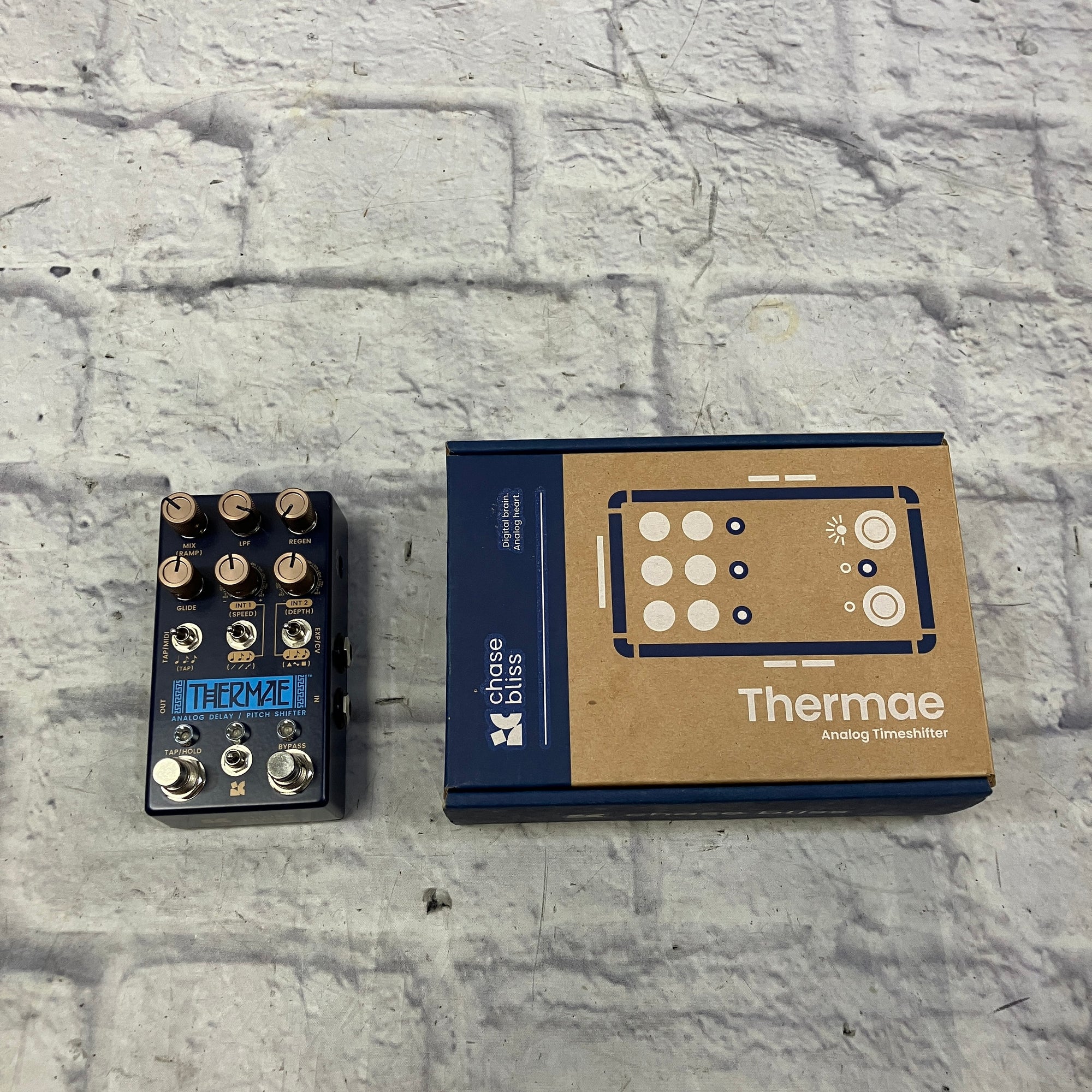Chase Bliss Thermae Delay Pedal