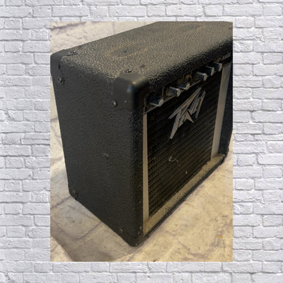 Peavey Rage 1990s Silver Trim Guitar Combo Amp
