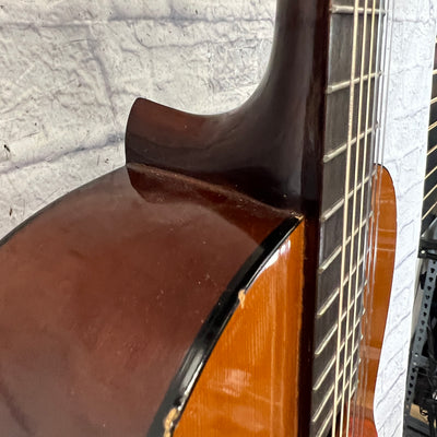 Eterna EC-10 Classical Acoustic Guitar