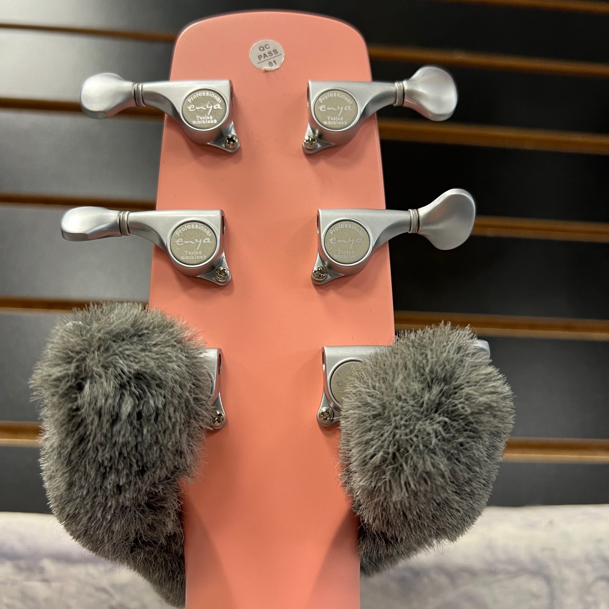 Enya NEXG Acoustic Guitar with Built In Amp & Bluetooth Speaker.