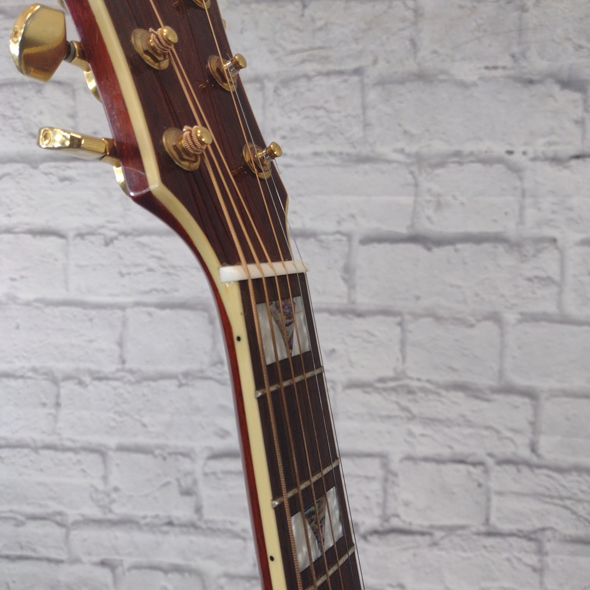 Allen EWJ-40SCE Acoustic Electric Guitar