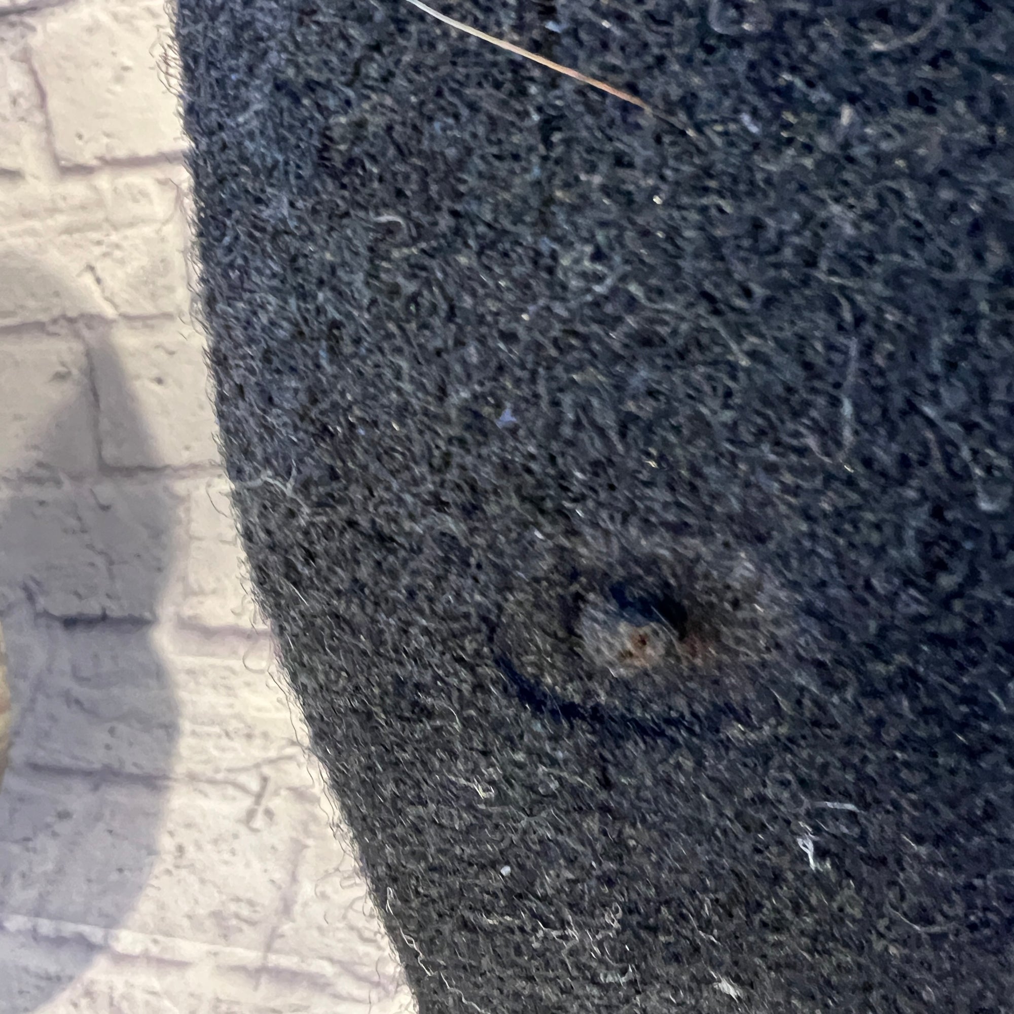 Genz Benz M-Line 200 1x15 Bass Combo Amp