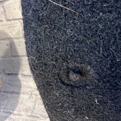 Genz Benz M-Line 200 1x15 Bass Combo Amp