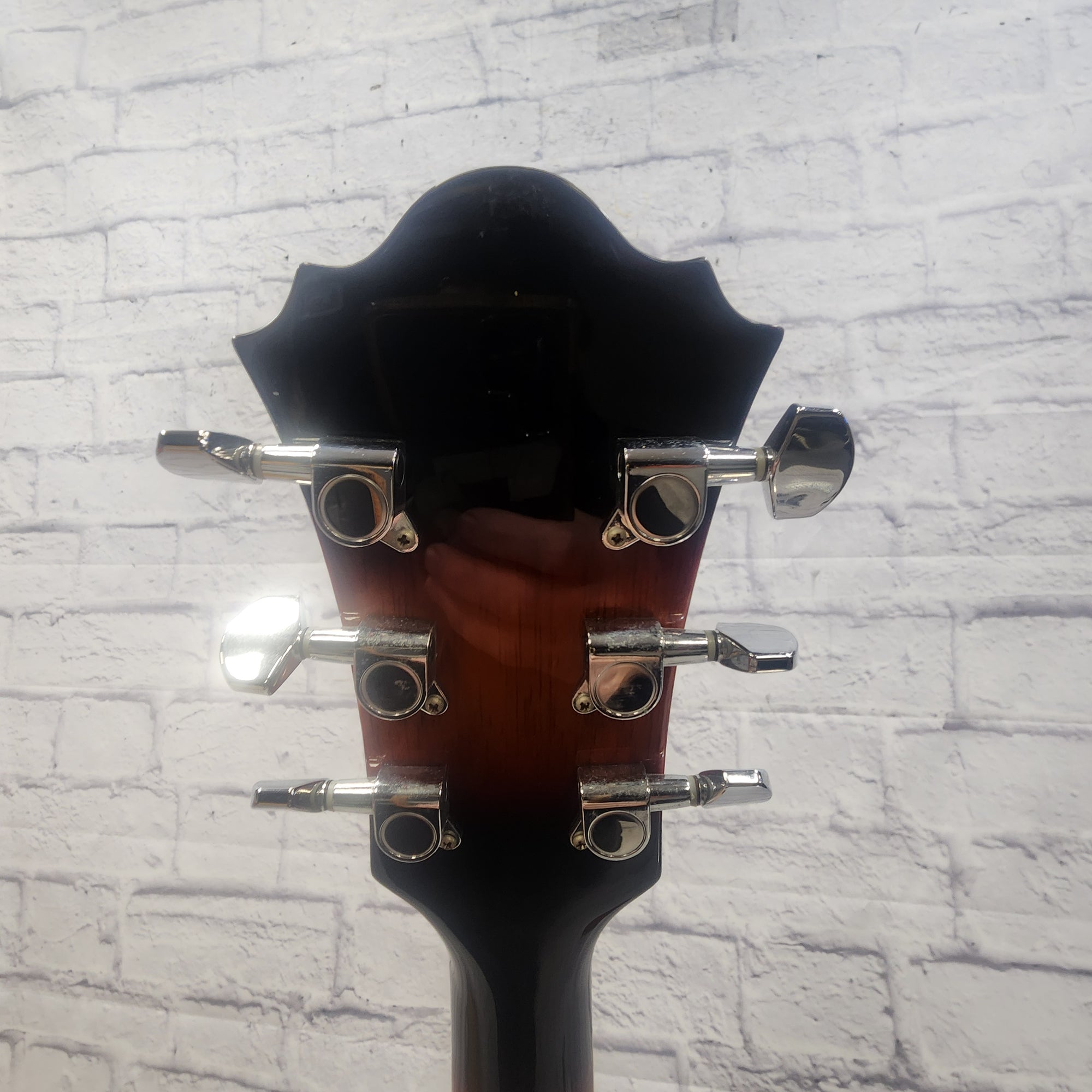 Ibanez SGE220-VS Acoustic Guitar