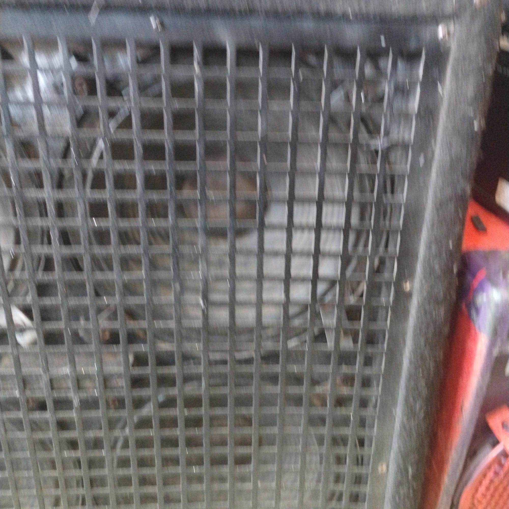 Jackson J412SL 4x12 Guitar Cabinet w/ Randall Jaguar RES-80 Speakers