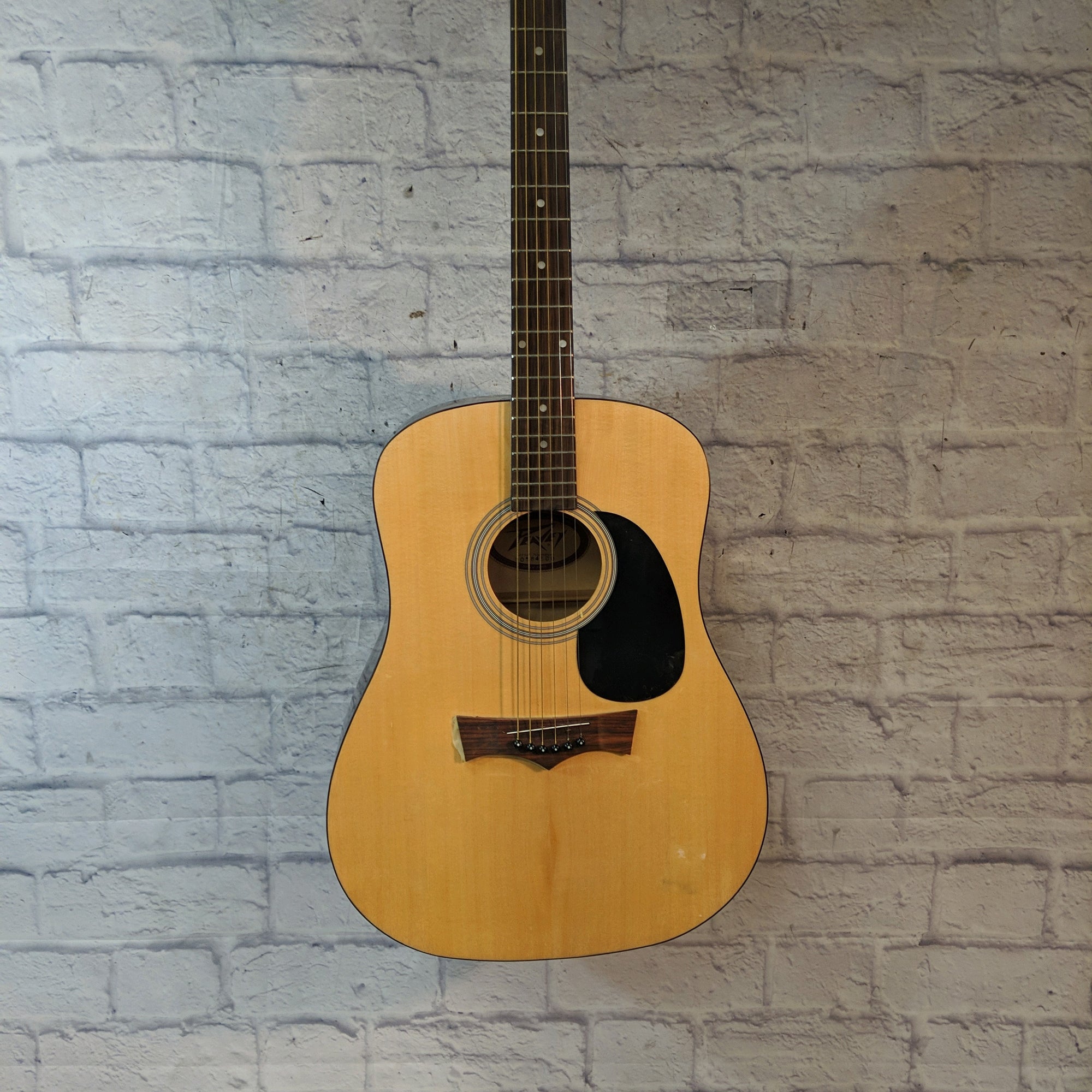 Peavey Gold Acoustic Guitar