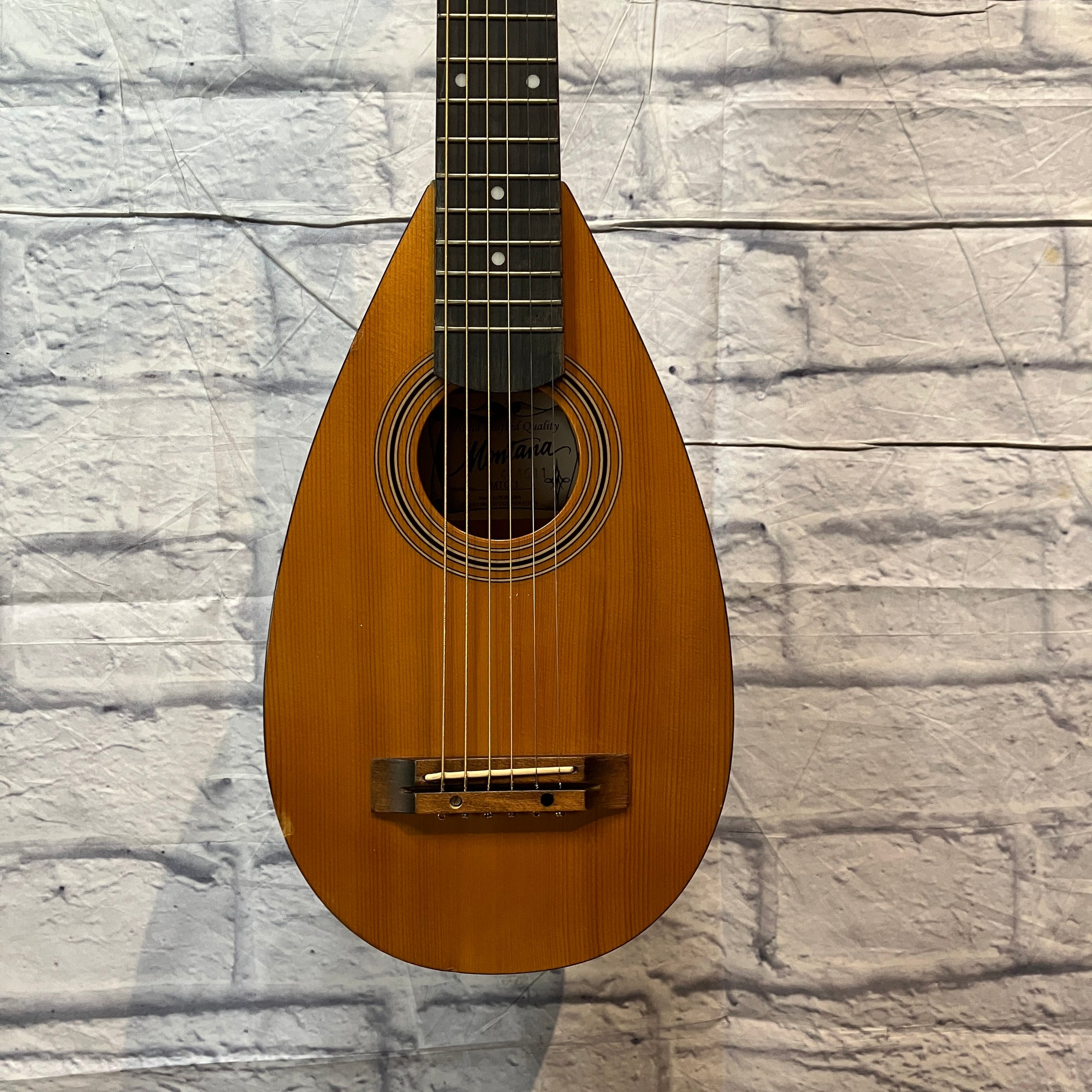backpack hawaiian traveler guitar Montana Travel Backpacker MTG 1 Travel Acoustic Guitar