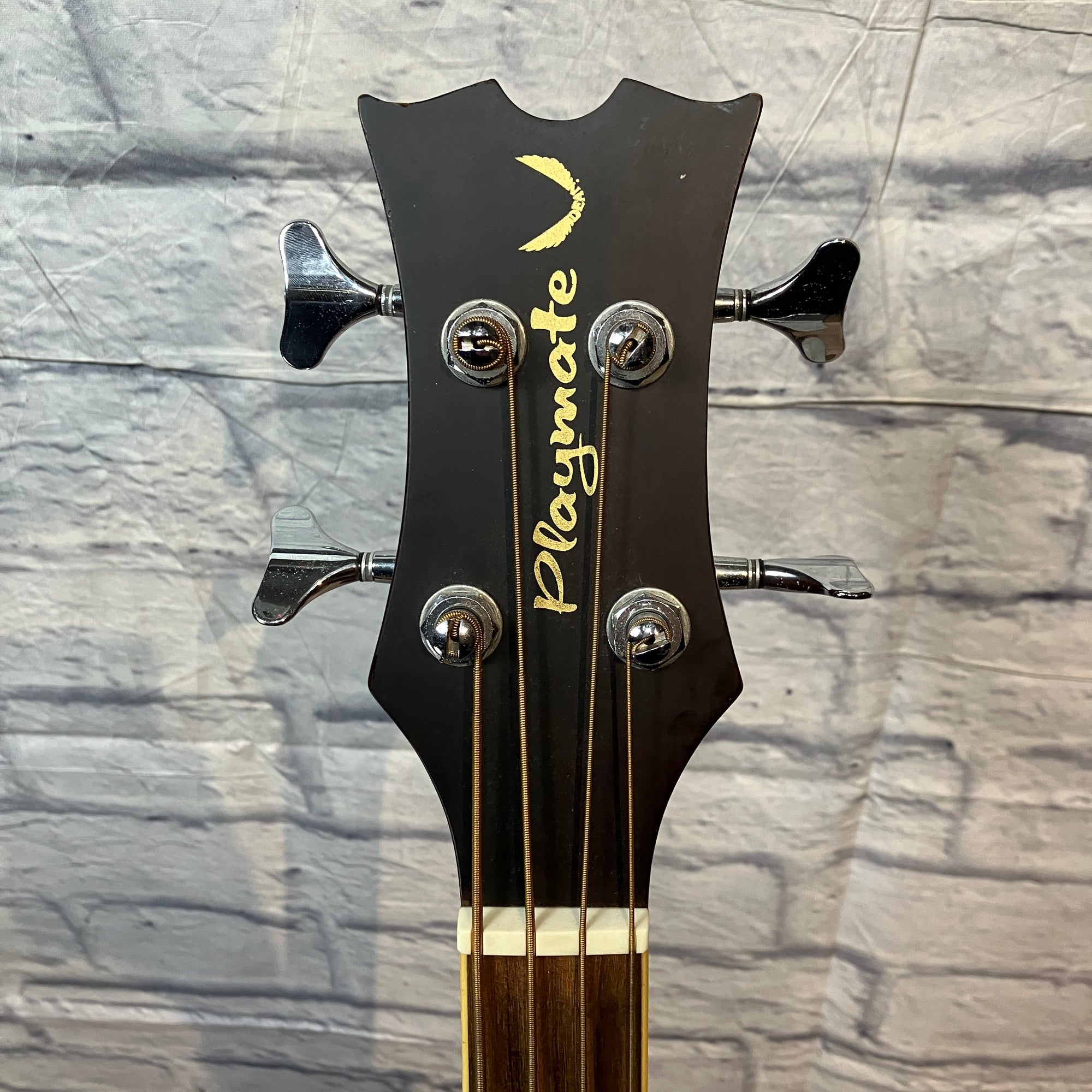Playmate PLAYEAB Acoustic Bass Guitar