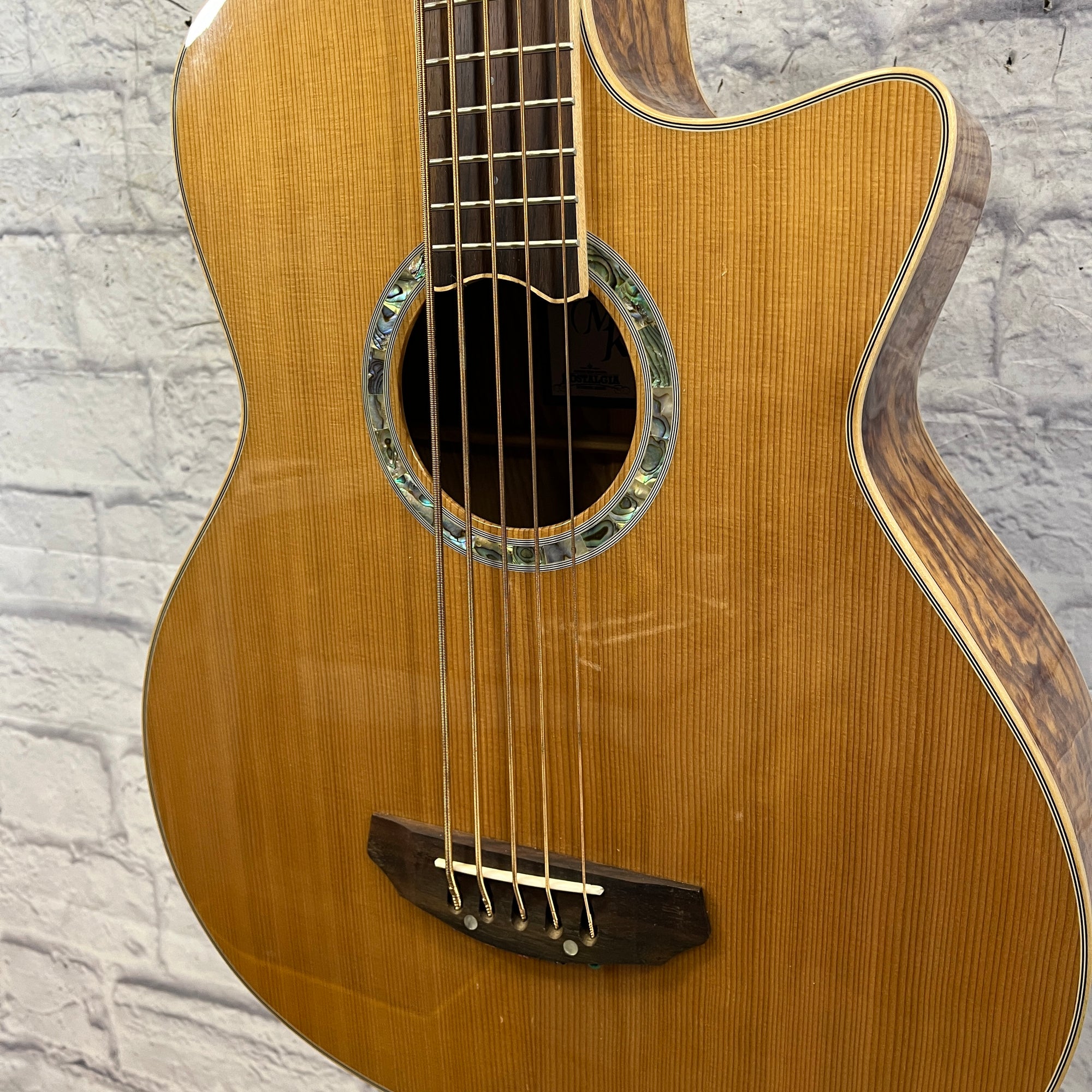 Michael Kelly MKCC5N 5 String Acoustic Bass with Hard Case
