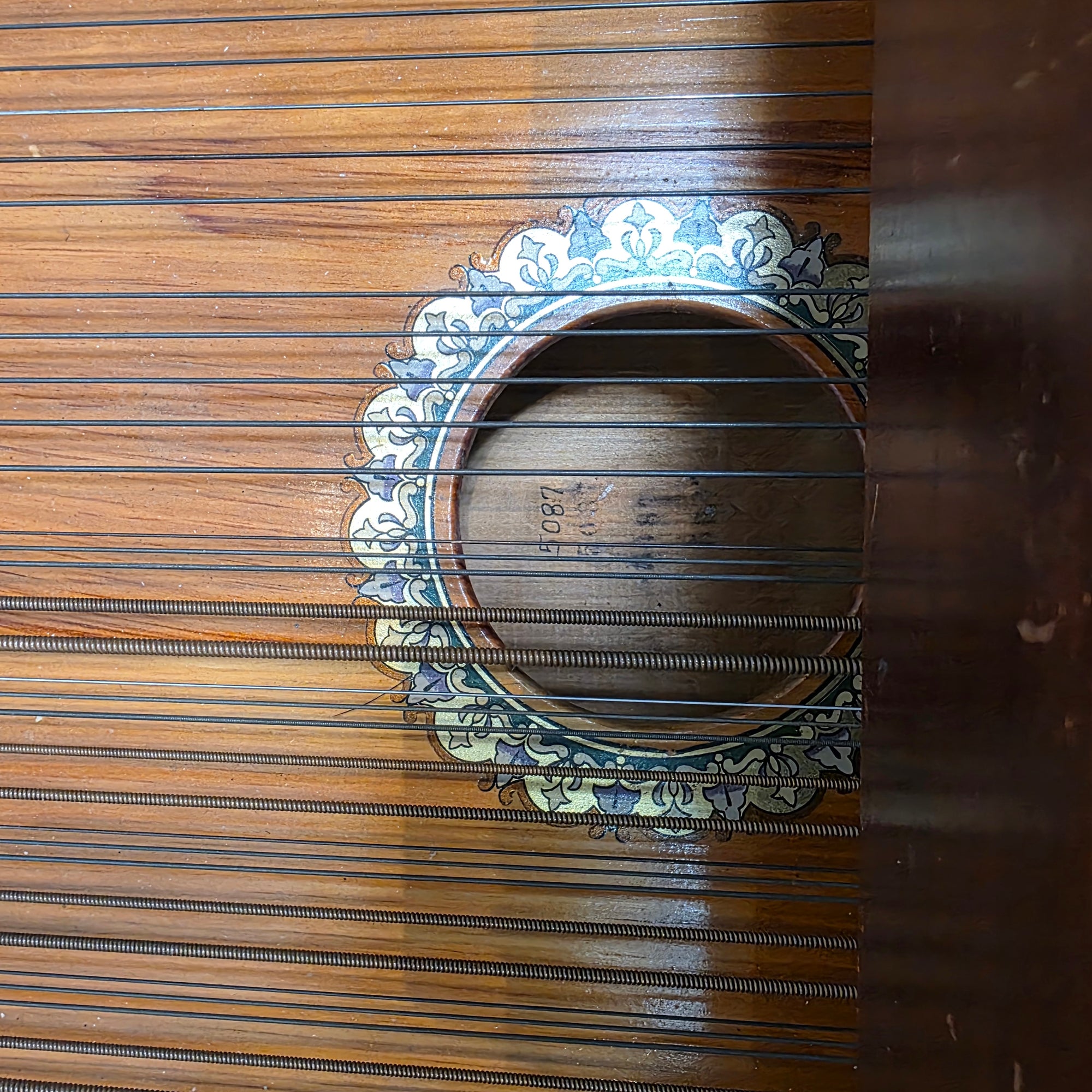 Toledo Symphony Dolceola Harp