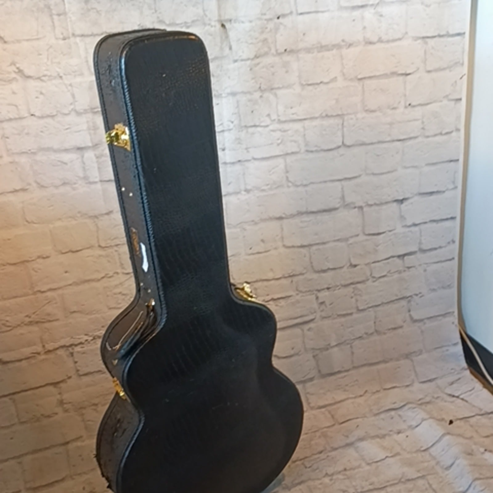 Guild Acoustic Guitar Case