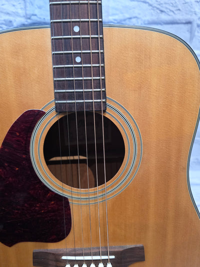 Ibanez Lefty PF5LG 2010's - Natural - Dreadnought Acoustic Guitar