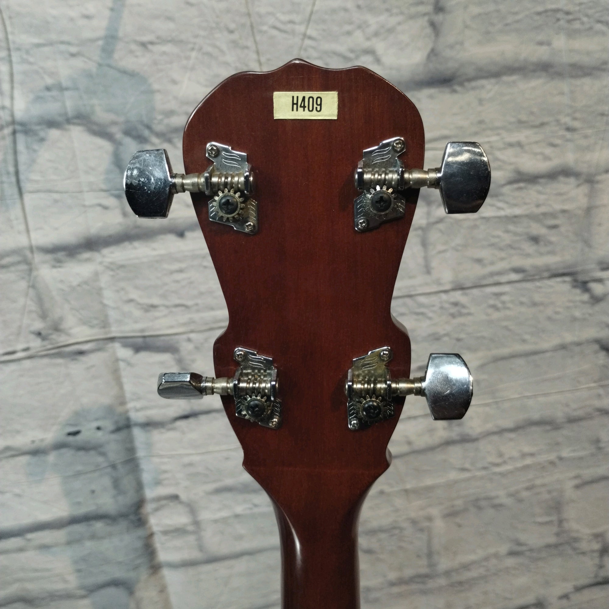 Harmony H409 Banjo