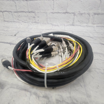 Rean 16 Channel XLR - TRS 20' Snake