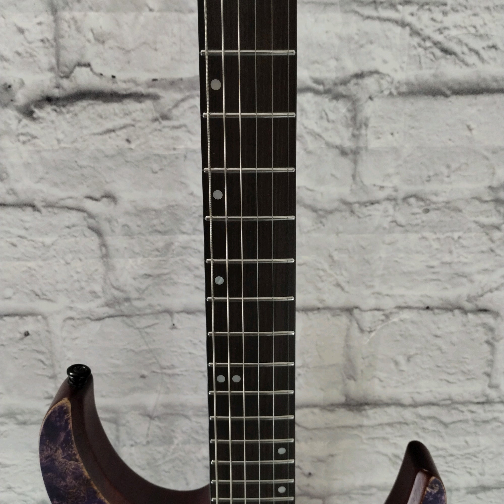 Eart Explorer 1 Electric Guitar
