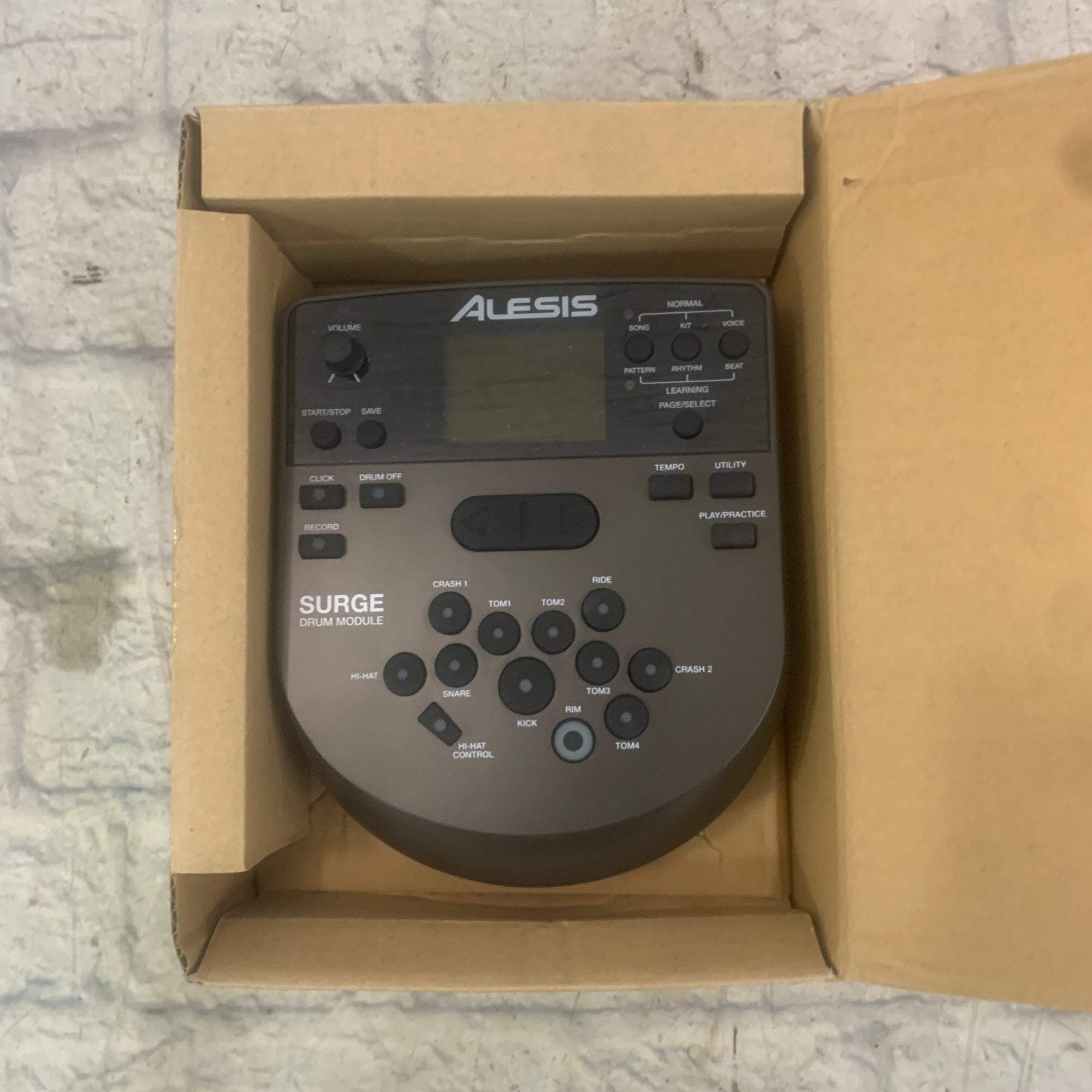 Alesis DM5 Drum Module