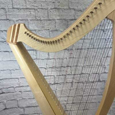 Salvi Titan Harp with Cover