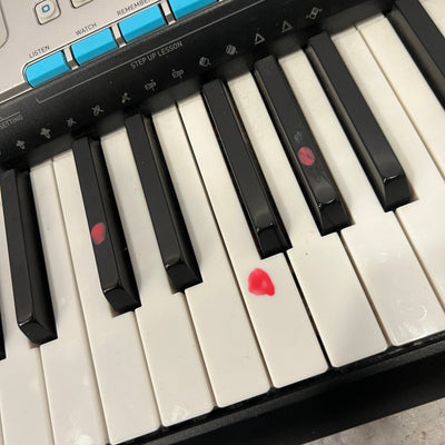 Casio LK-220 61-Key Electronic Keyboard with Lighted Keys