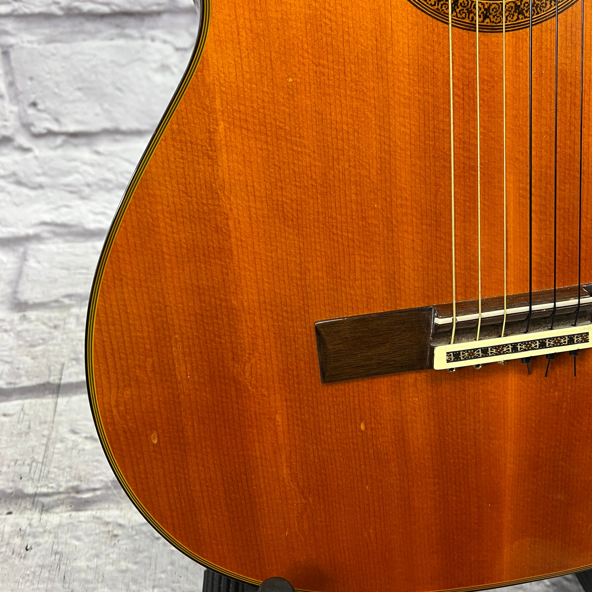 Segovia Cedar Classical Acoustic Guitar - Evolution Music Segovia Cedar Classical Acoustic Guitar - Evolution Music