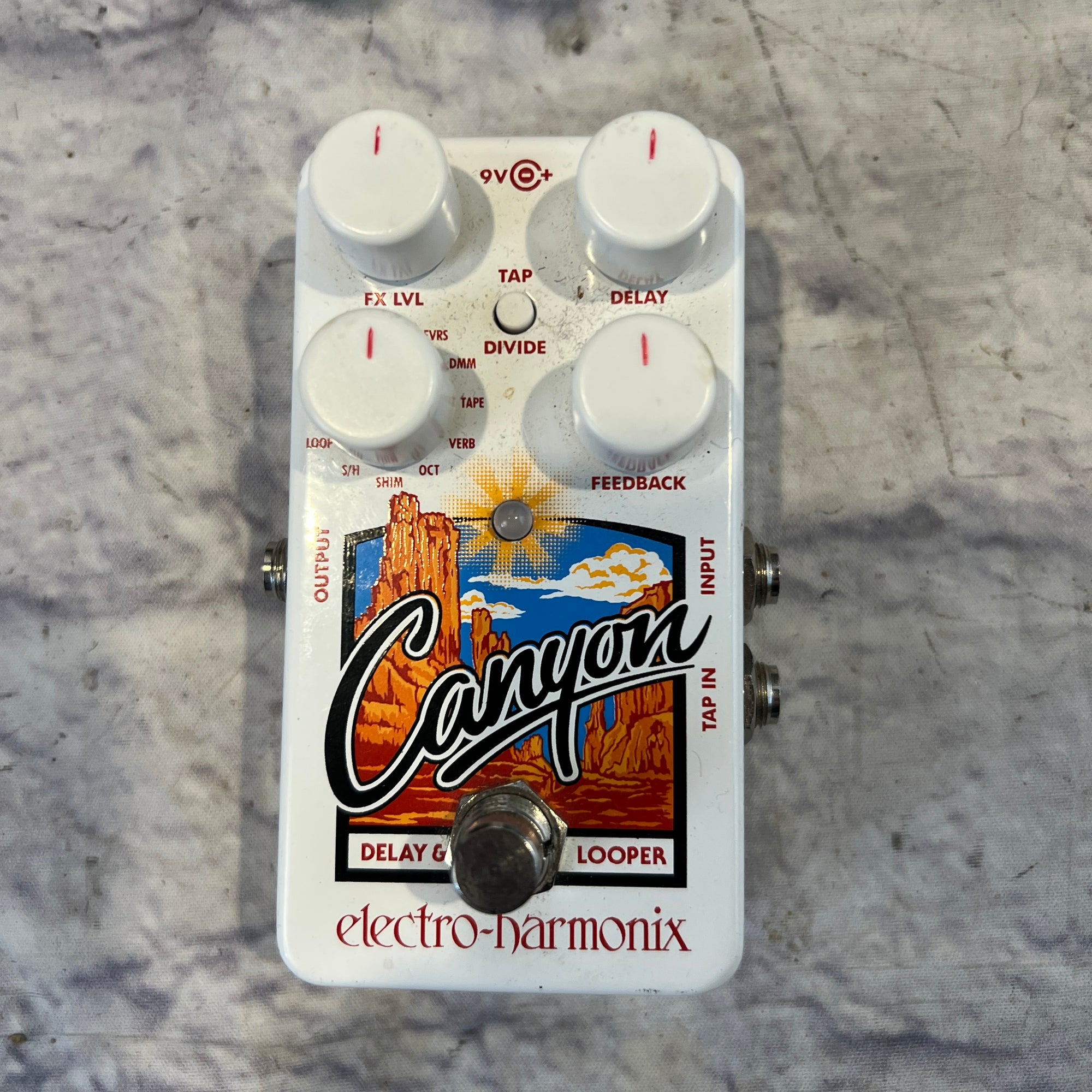 Electro-Harmonix Canyon Delay and Looper Pedall