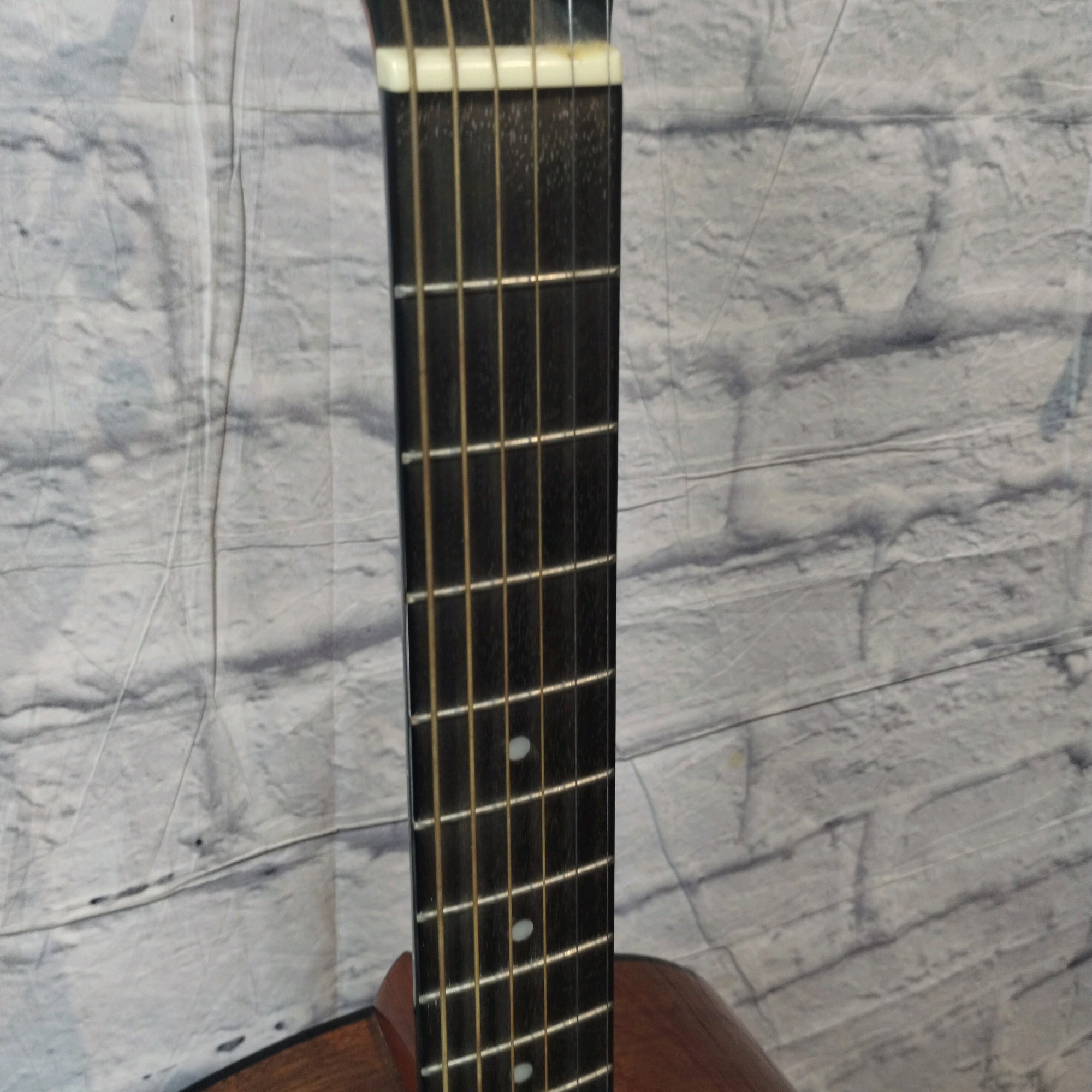 Samick ST91 Greg Bennet Design Acoustic Guitar