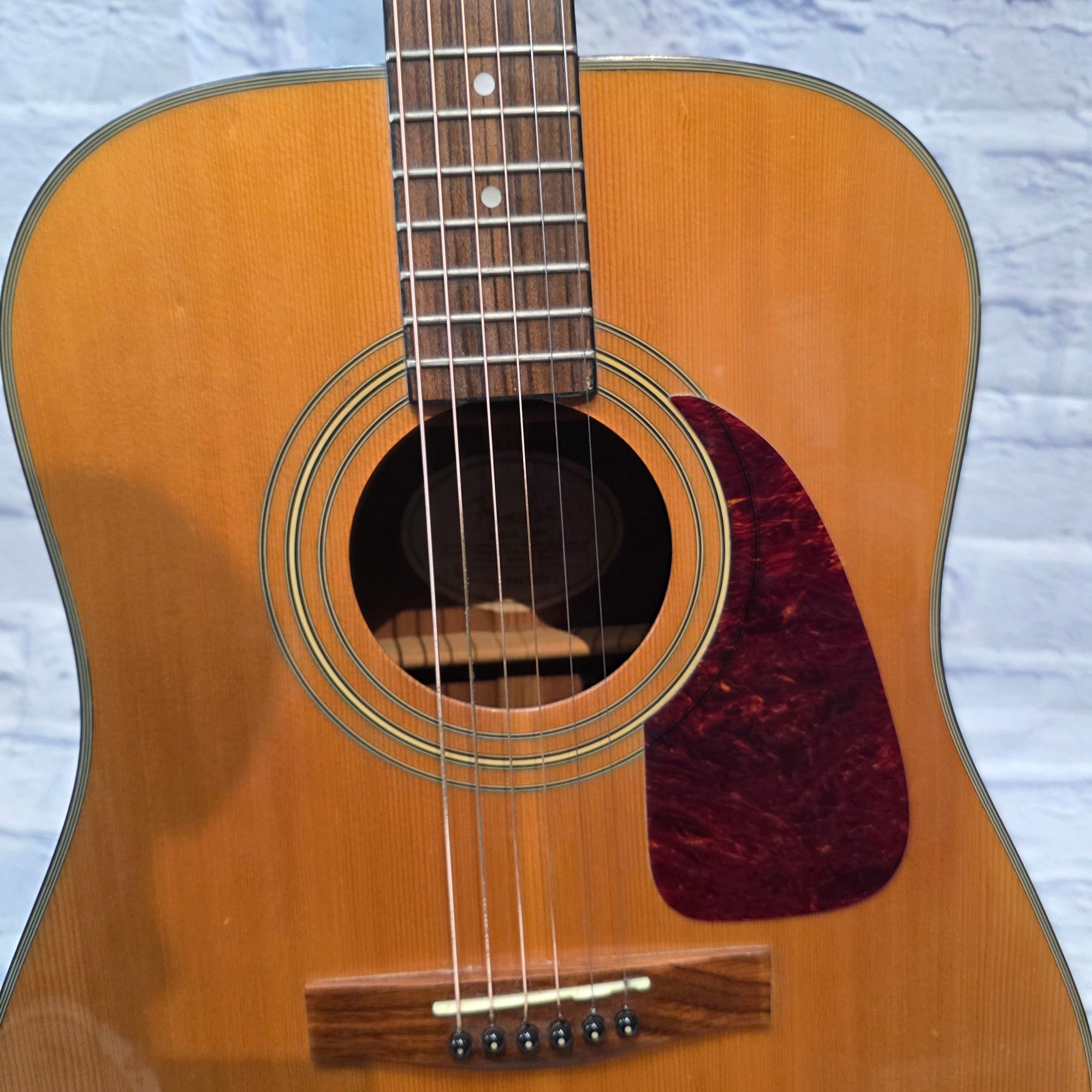 Fender Dreadnaught DG20s Nat Acoustic Guitar