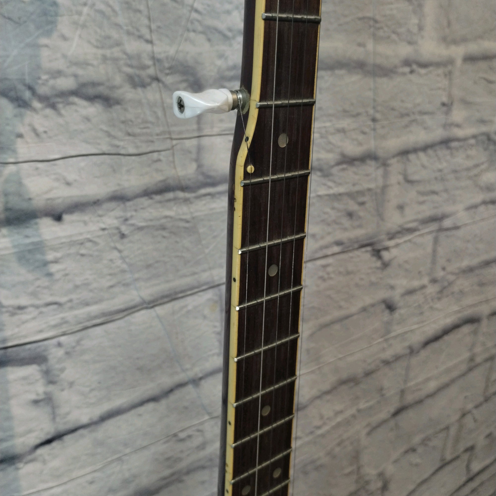 Vintage Antares ABJ-183 Banjo