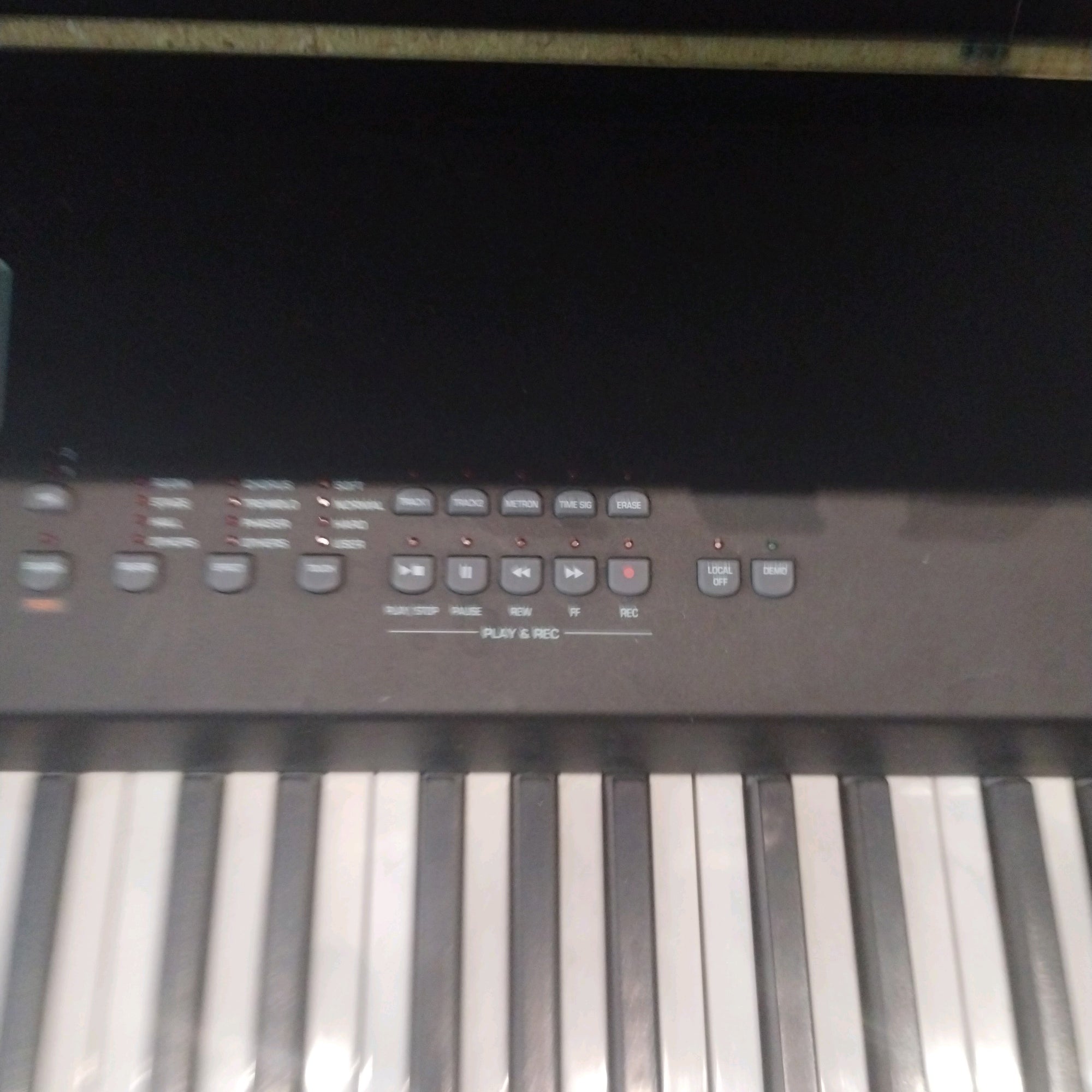 GeneralMusic Real Piano Pro 2 Keyboard