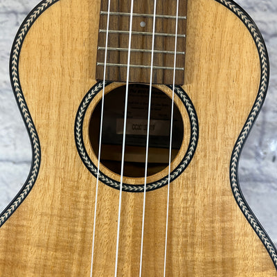 Breedlove Pursuit EX S Concert Ukulele